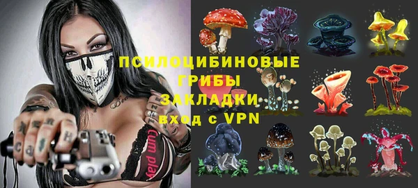 бошки Кинешма