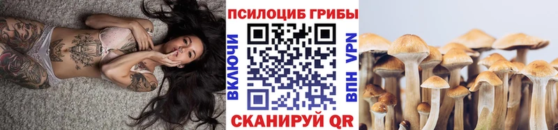 Псилоцибиновые грибы мухоморы  Бийск 