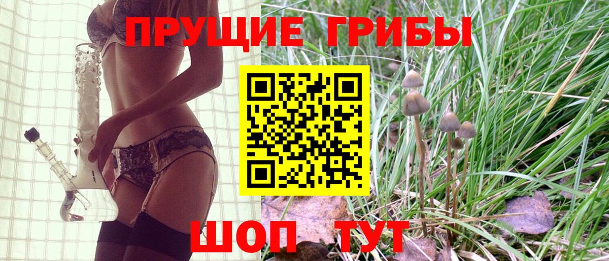 Галлюциногенные грибы Magic Shrooms  хочу наркоту  Бийск 