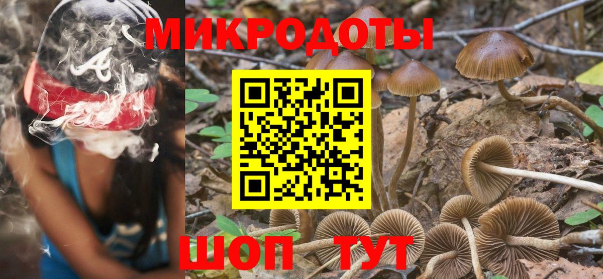Галлюциногенные грибы GOLDEN TEACHER Бийск